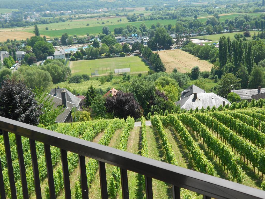 Hotel Des Vignes Restaurant Du Pressoir Remich Zewnętrze zdjęcie